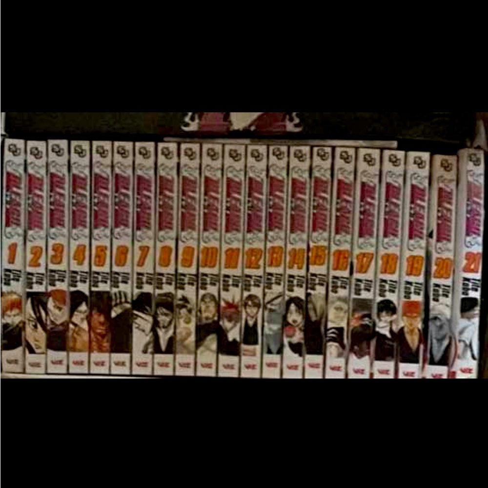 Bleach 1-21
